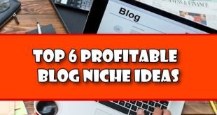 Top 6 Profitable Blog Niche Ideas